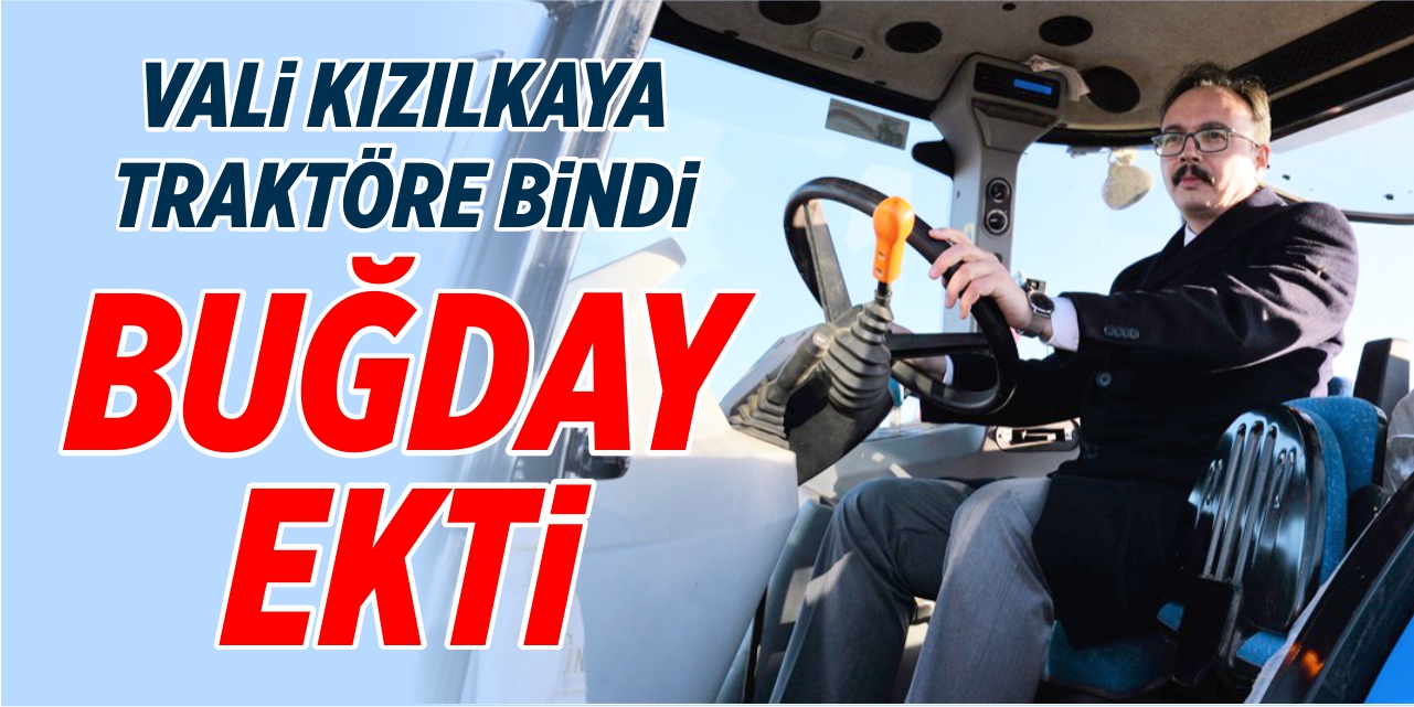 Vali Kızılkaya traktöre bindi, buğday ekti