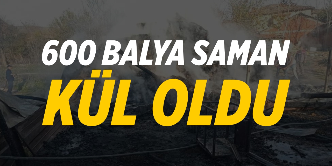 600 balya saman kül oldu