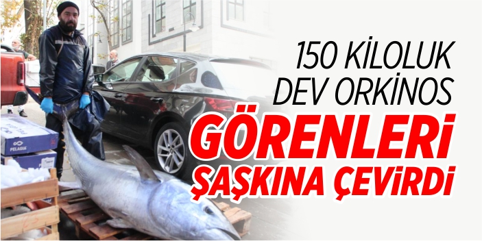 150 kiloluk dev orkinos görenleri şaşkına çevirdi