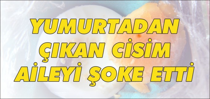 YUMURTADAN ÇIKAN CİSİM AİLEYİ ŞOKE ETTİ