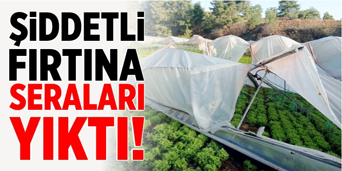 Şiddetli fırtına seraları yıktı!