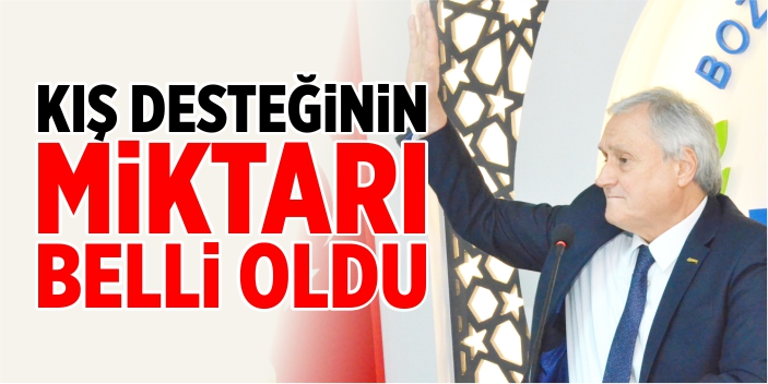 Kış desteğinin miktarı belli oldu