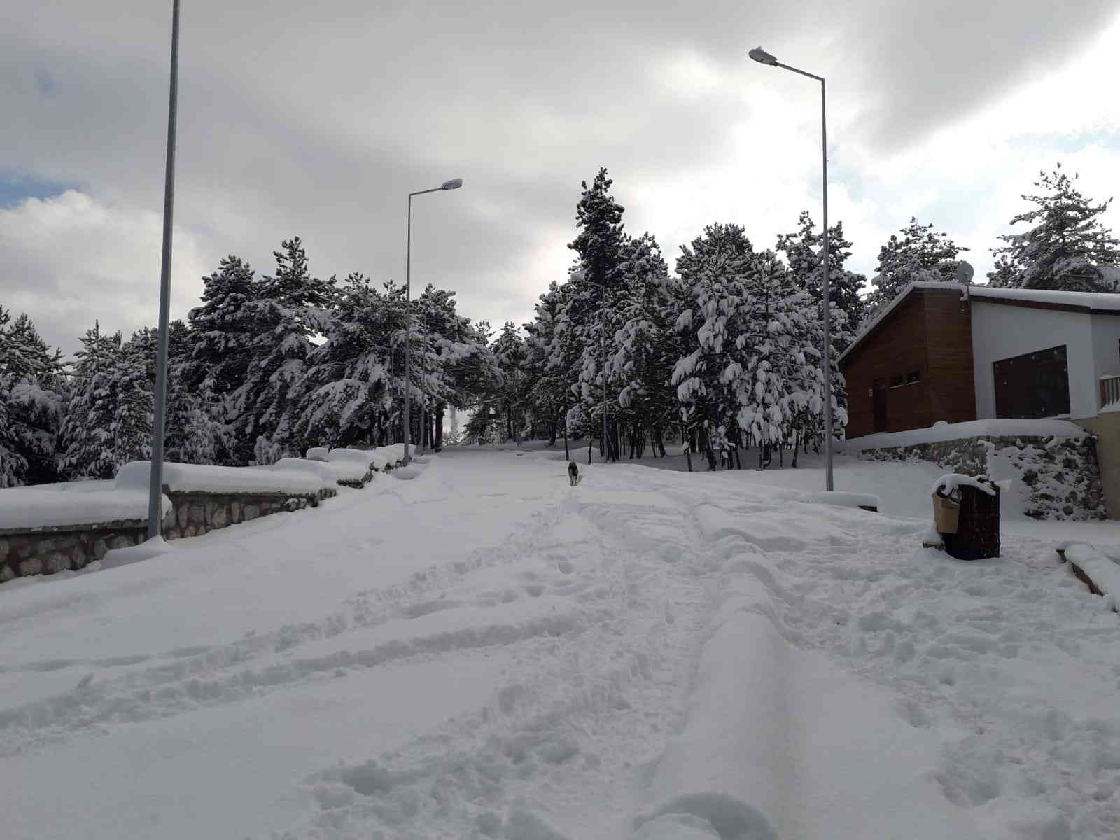 Küçükelmalı Tabiat Parkı beyaza büründü