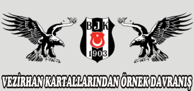 VEZİRHAN KARTALLARINDAN ÖRNEK DAVRANIŞ