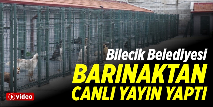 Belediye, barınaktan canlı yayın yaptı