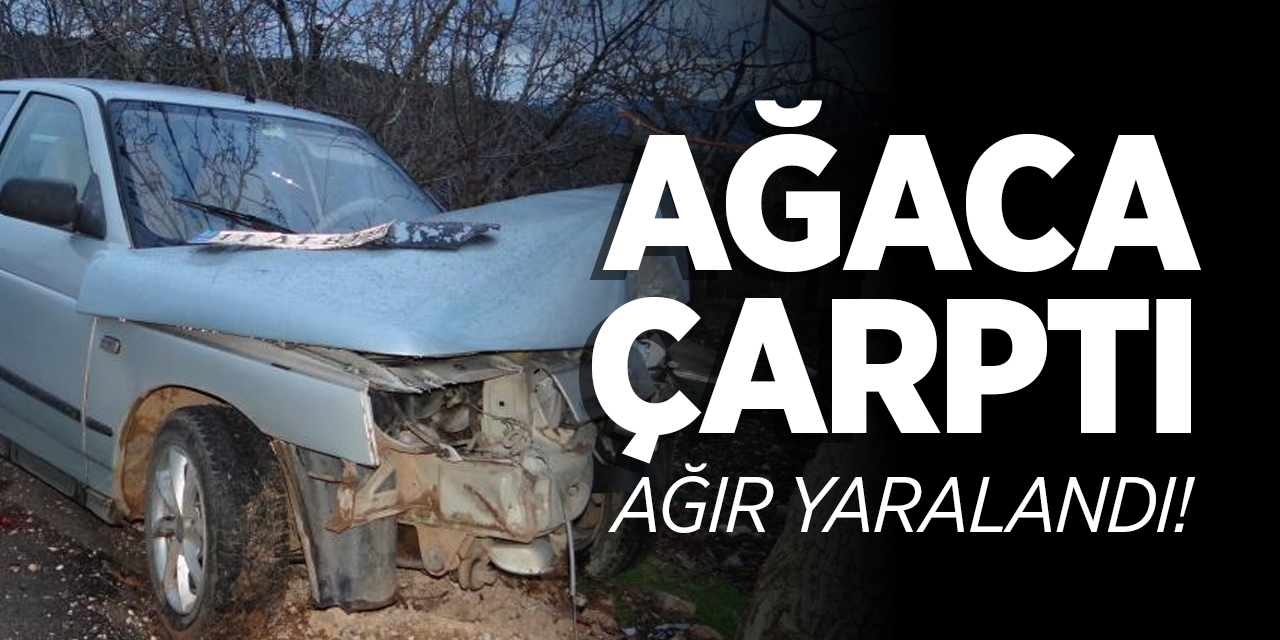 Ağaca çarptı ağır yaralandı!