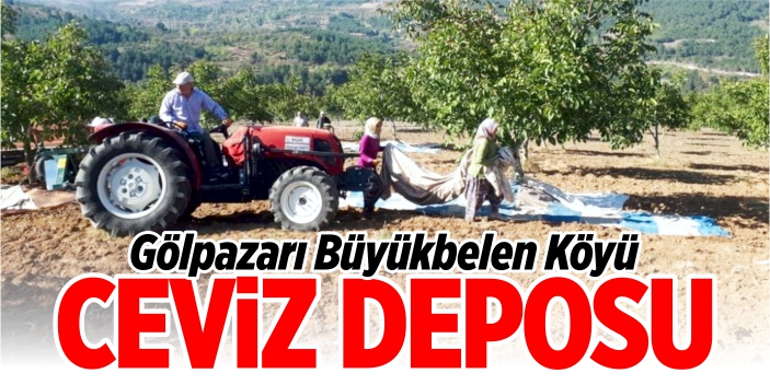 Gölpazarı Büyükbelen Köyü; Ceviz Deposu