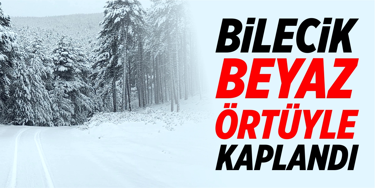 Bilecİk beyaz örtüyle kaplandı