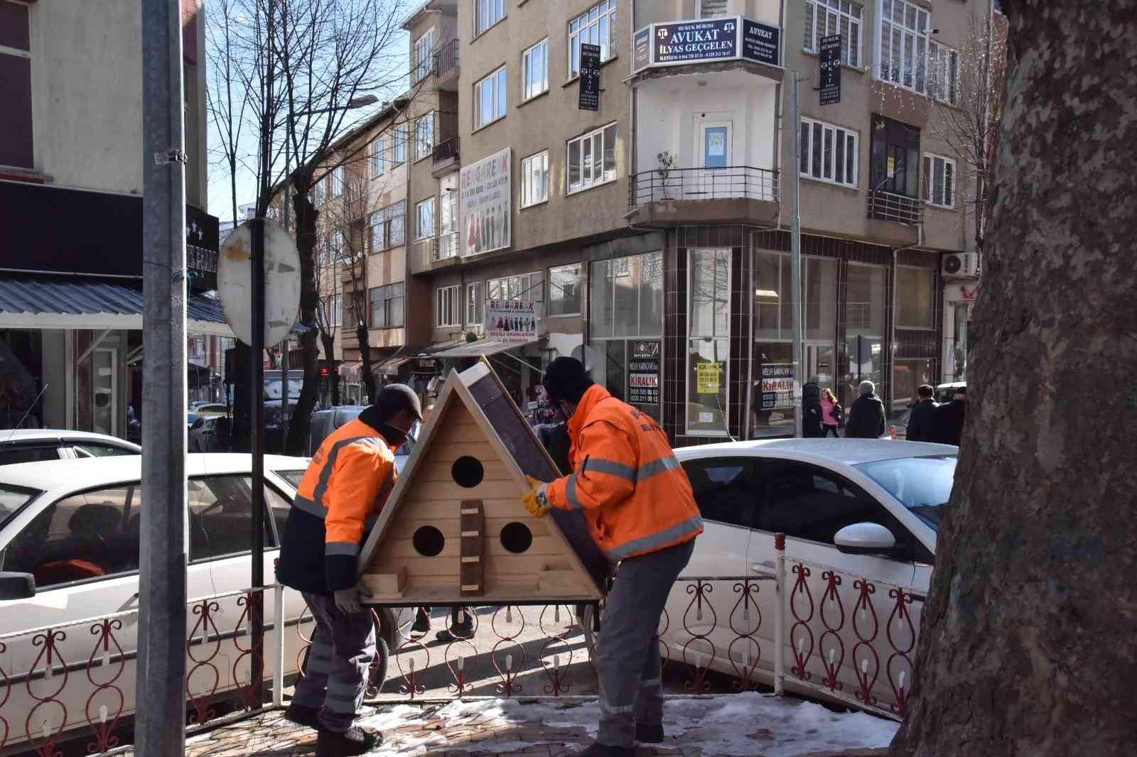 Bilecik’te sokak hayvanları için yapılan yuvalar çeşitli yerlere yerleştirildi