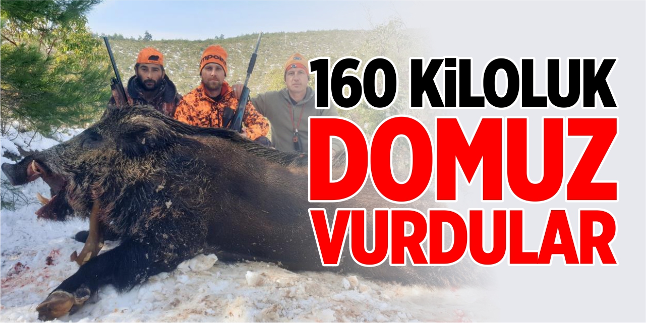 160 kiloluk domuzu vurdular