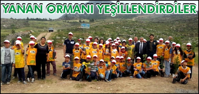 YANAN ORMANI YEŞİLLENDİRDİLER