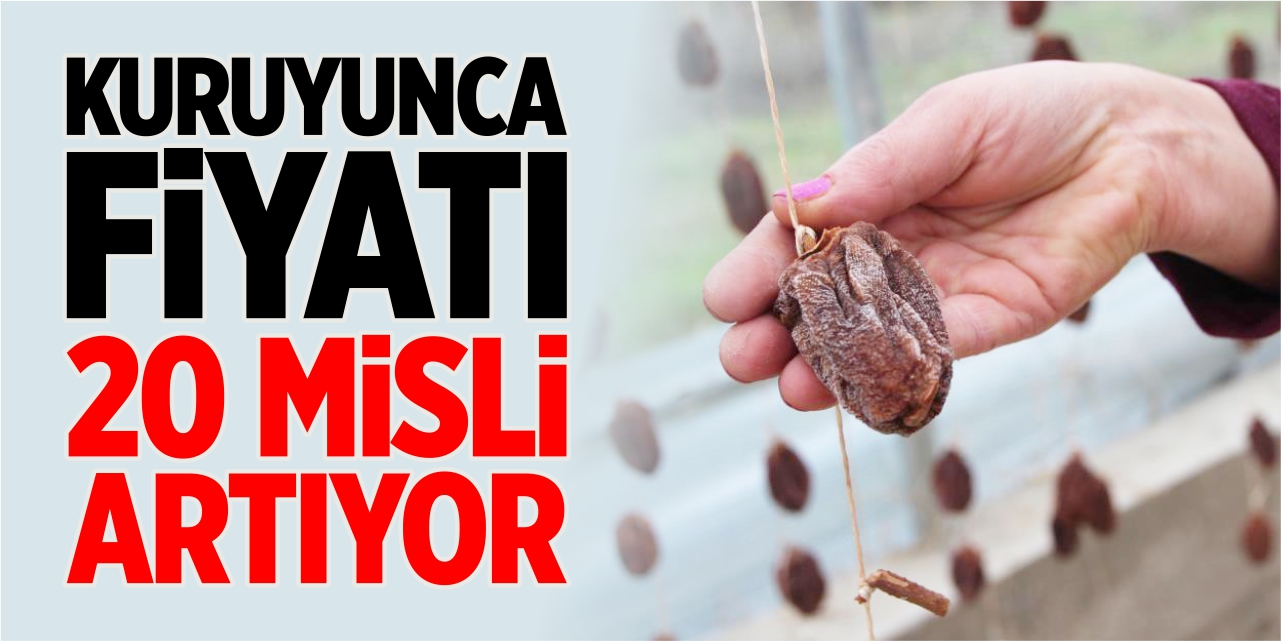 Kuruyunca fiyatı 20 misli artıyor