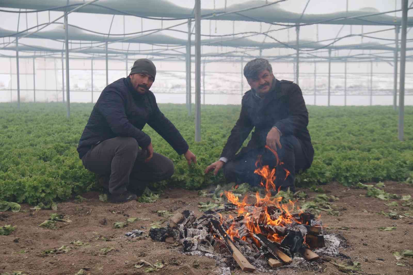 Buz tutan ürünleri için serasında ateş yaktı