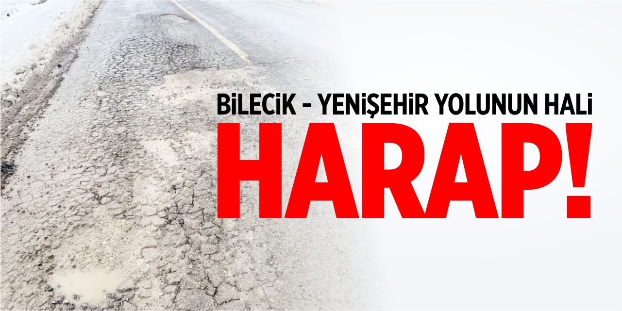 Bilecik-Yenişehir yolunun hali harap!