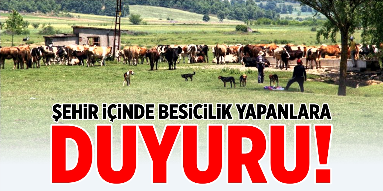 Şehir içinde besicilik yapanlara duyuru!