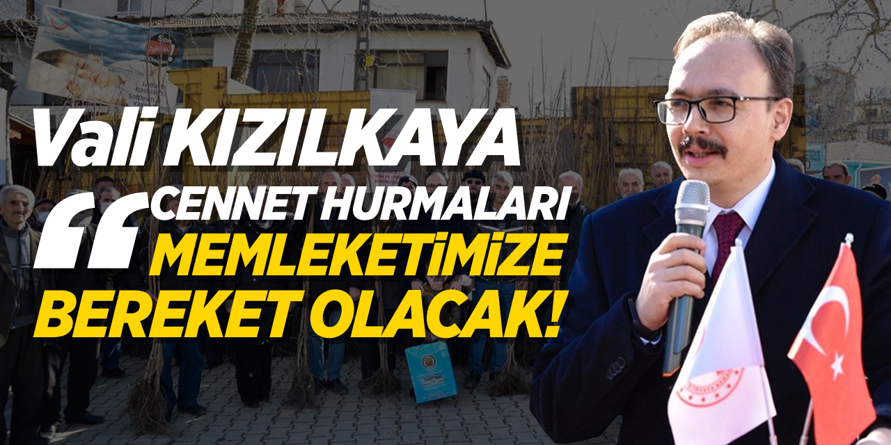 Vali Kızılkaya "Cennet Hurmaları Memleketimize Bereket Olacak"