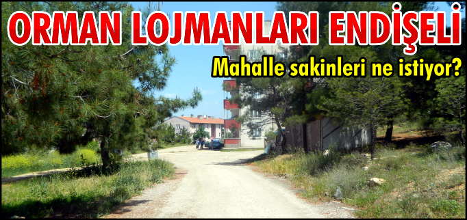ORMAN LOJMANLARI ENDİŞELİ