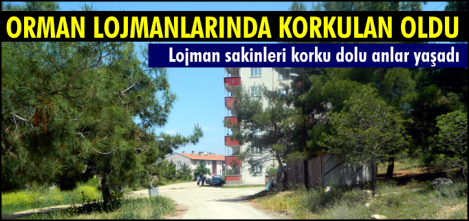 KORKULAN OLDU