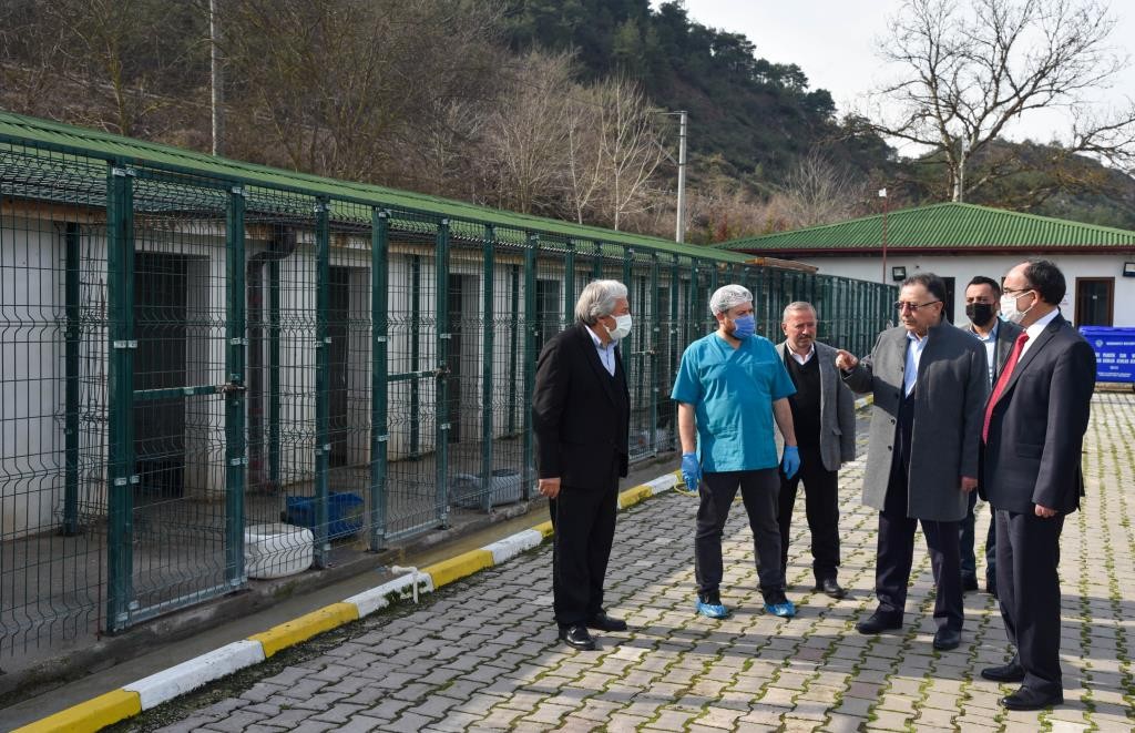 Örnek projeler hayata geçiriliyor