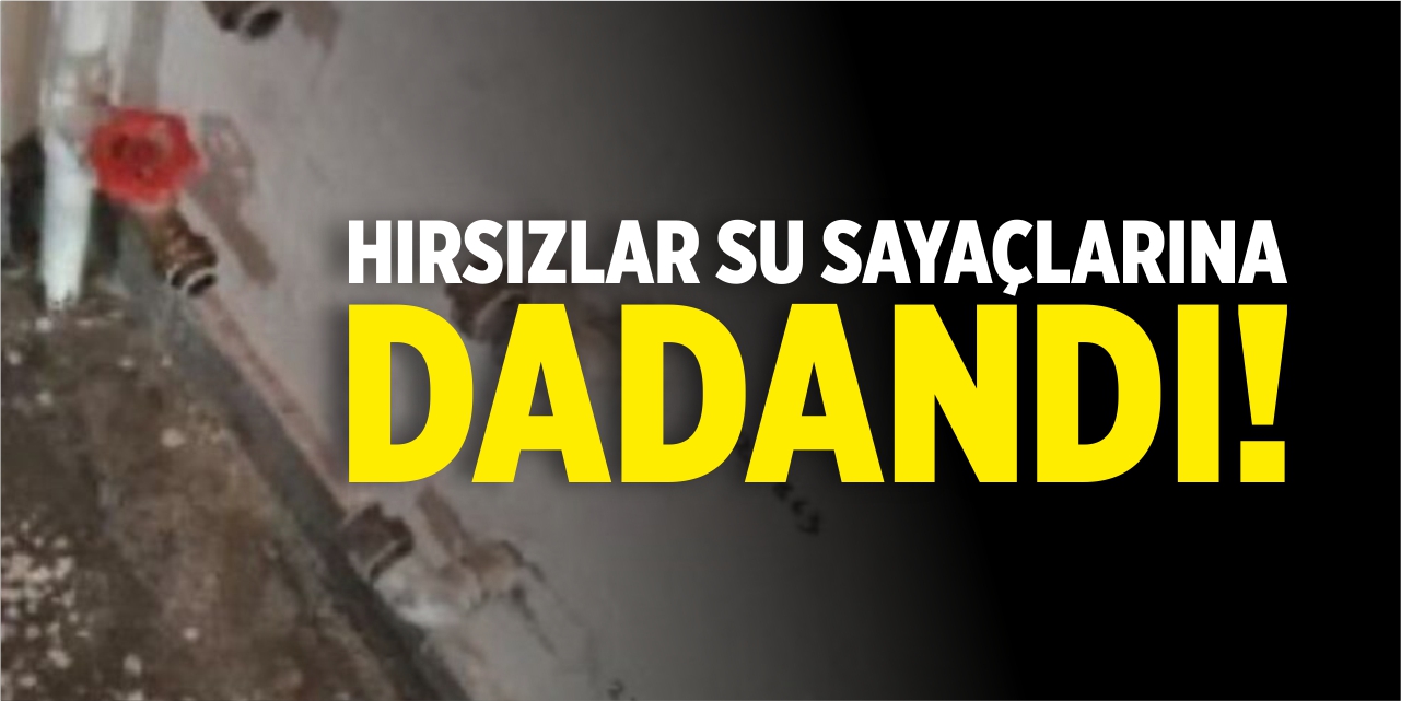 Hırsızlar su sayaçlarına dadandı!