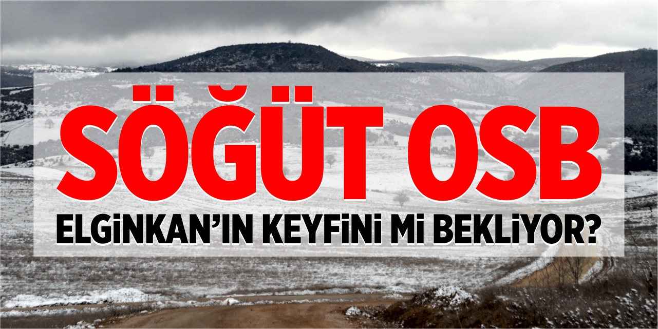 Söğüt OSB Elginkan’ın keyfini mi bekliyor?