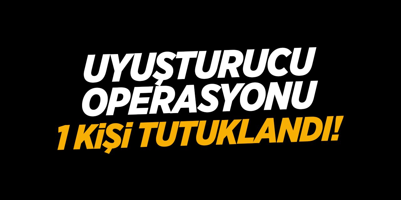 Bilecik'te uyuşturucu operasyonu 1 kişi tutuklandı