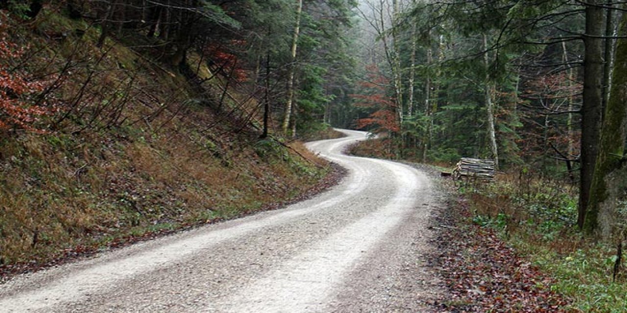 Bozüyük'te Orman Yolu Yaptırılacak