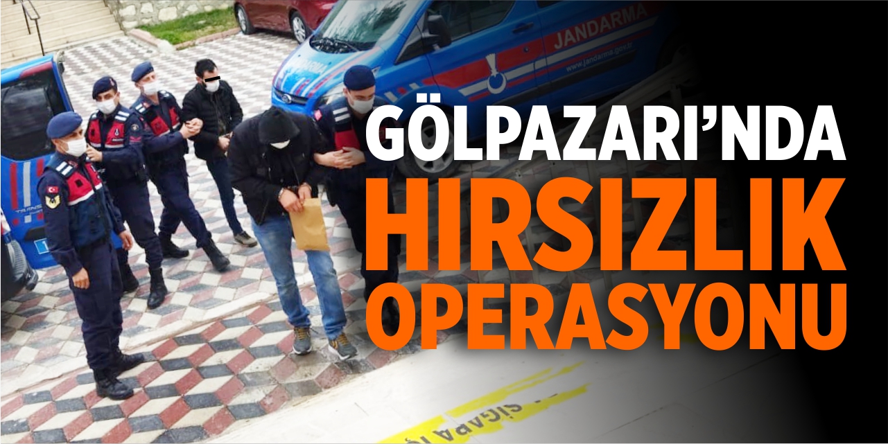 Gölpazarı'nda hırsızlık operasyonu!