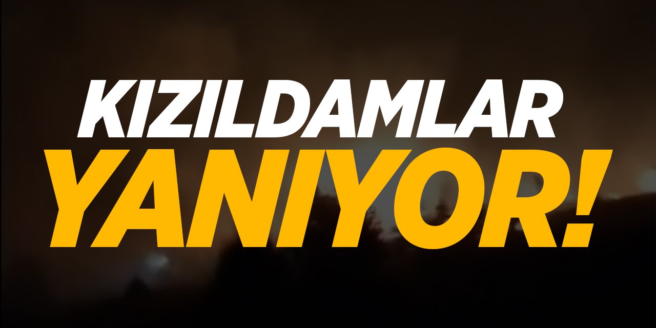 BİLECİK KIZILDAMLAR YANIYOR!