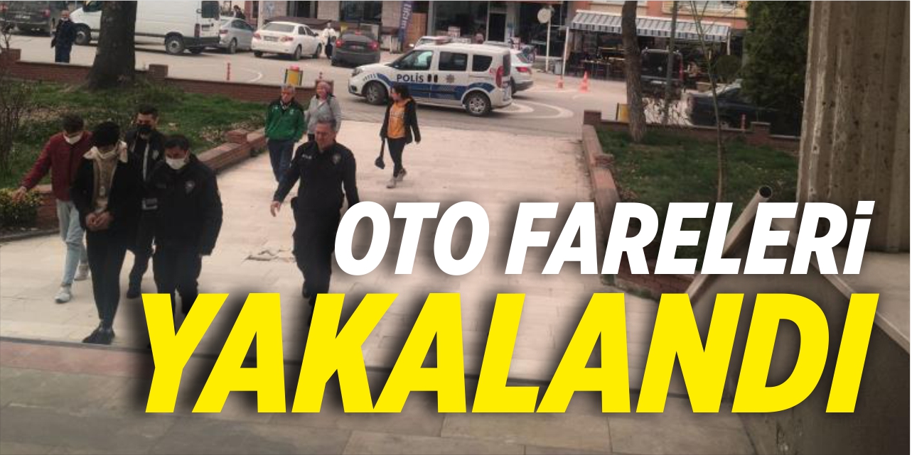 Oto fareleri yakalandı