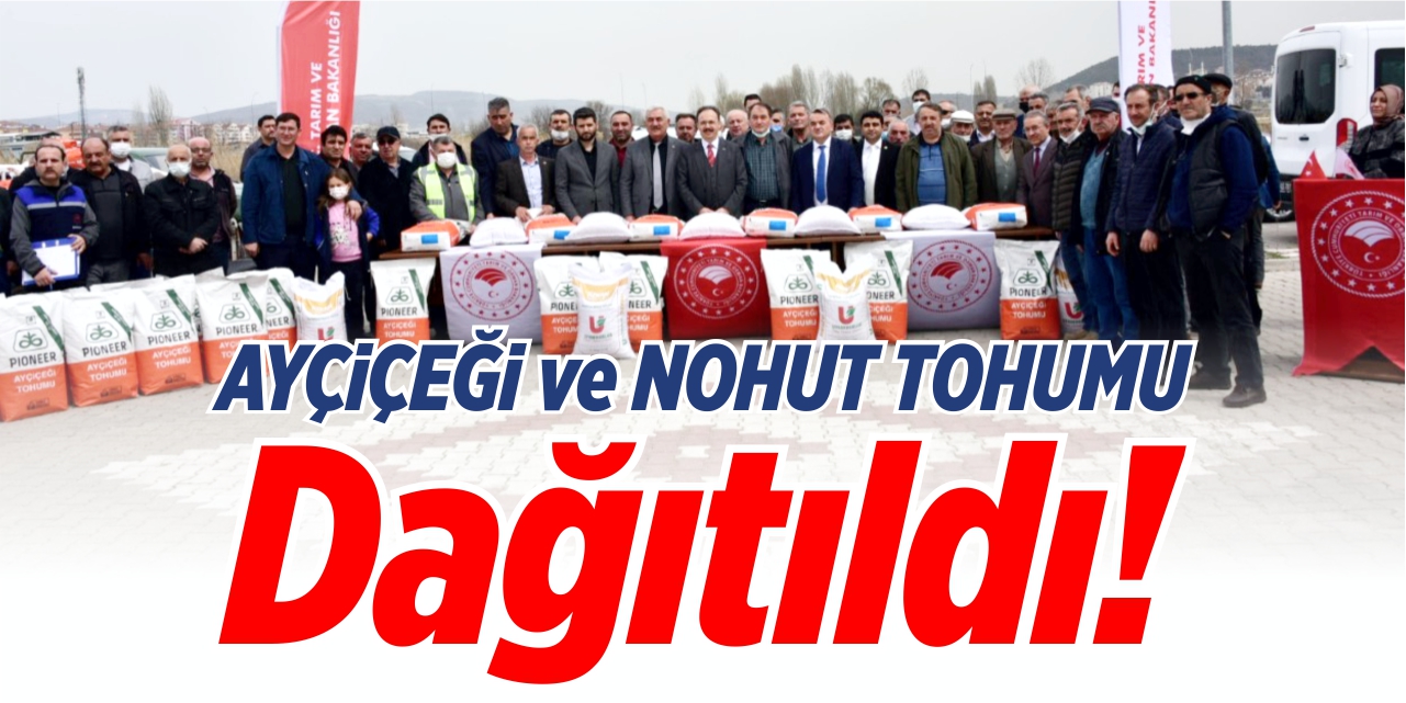 Ayçiçeği ve nohut tohumu dağıtıldı