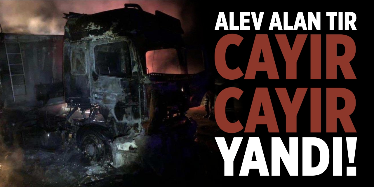 Alev alan tır cayır cayır yandı