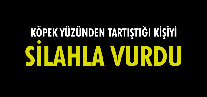 KÖPEK YÜZÜNDEN TARTIŞTIĞI KİŞİYİ SİLAHLA VURDU