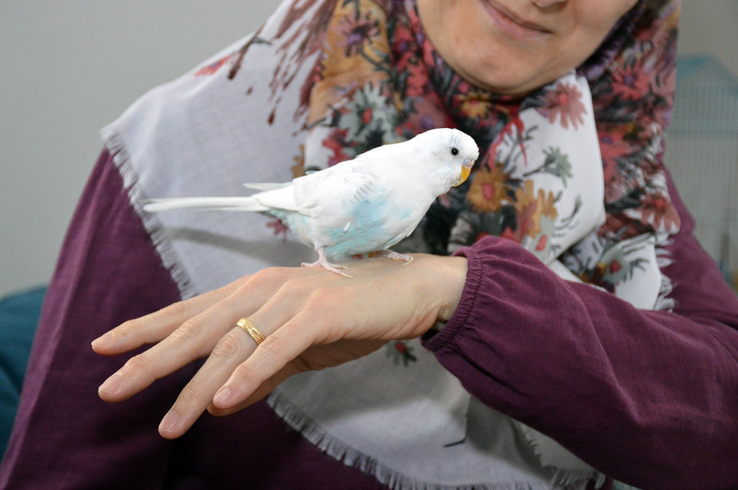 Bu kuş muhabbet etmiyor tekbir getiriyor