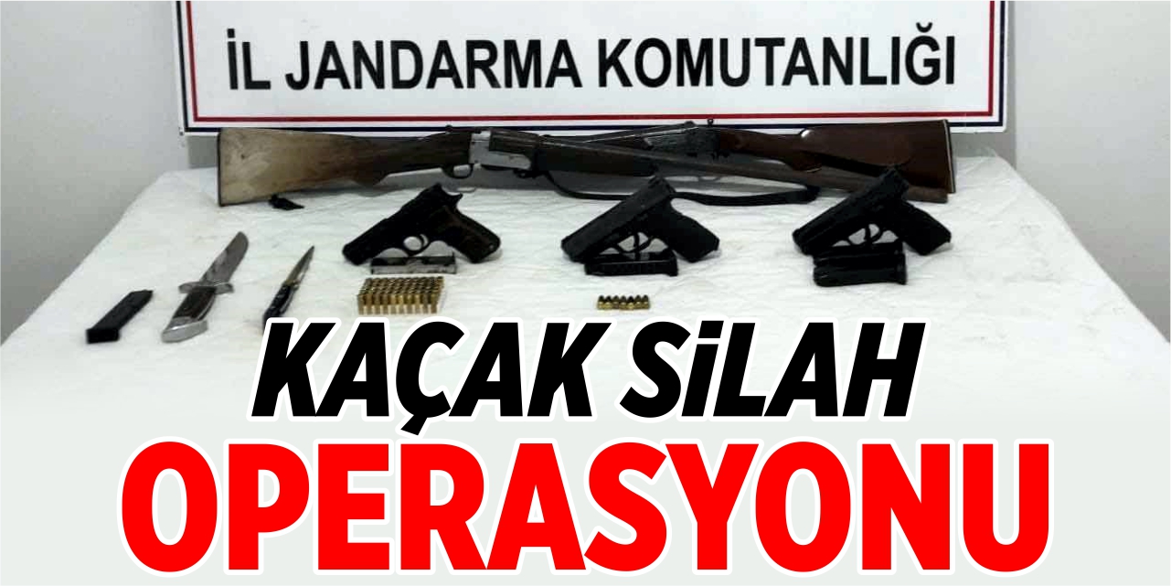 Jandarmadan kaçak silah operasyonu