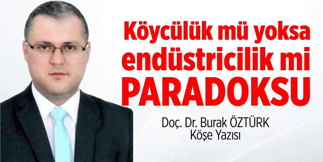 Köycülük mü yoksa endüstricilik mi paradoksu