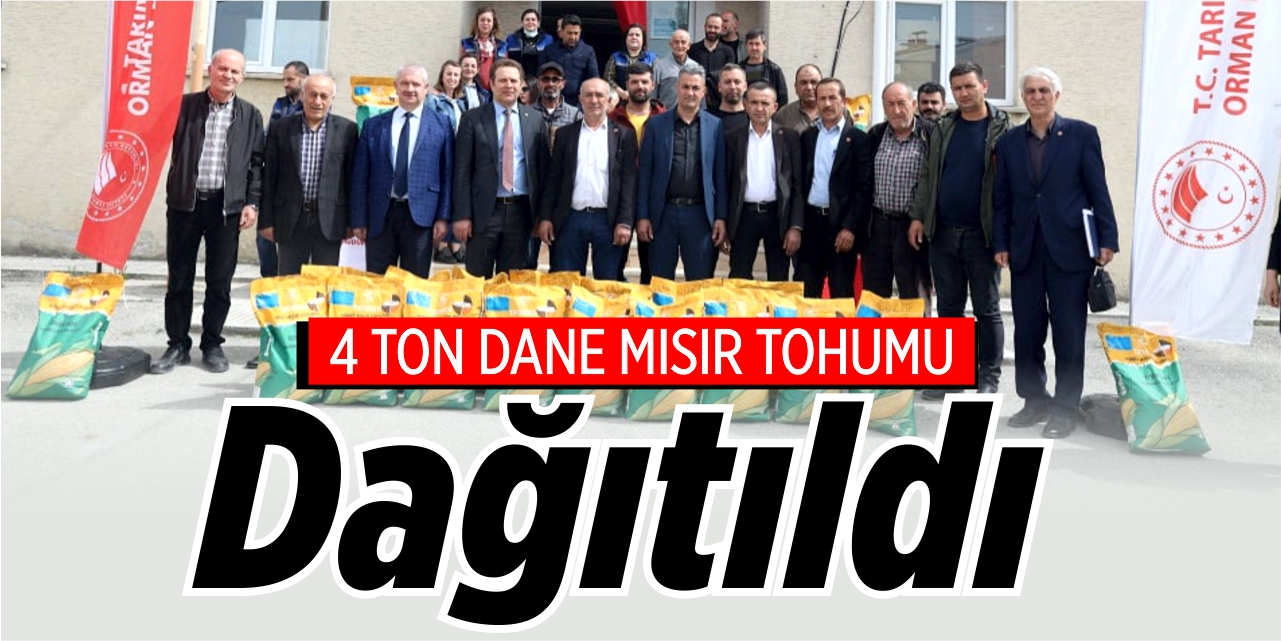 4 ton dane mısır tohumu dağıtıldı