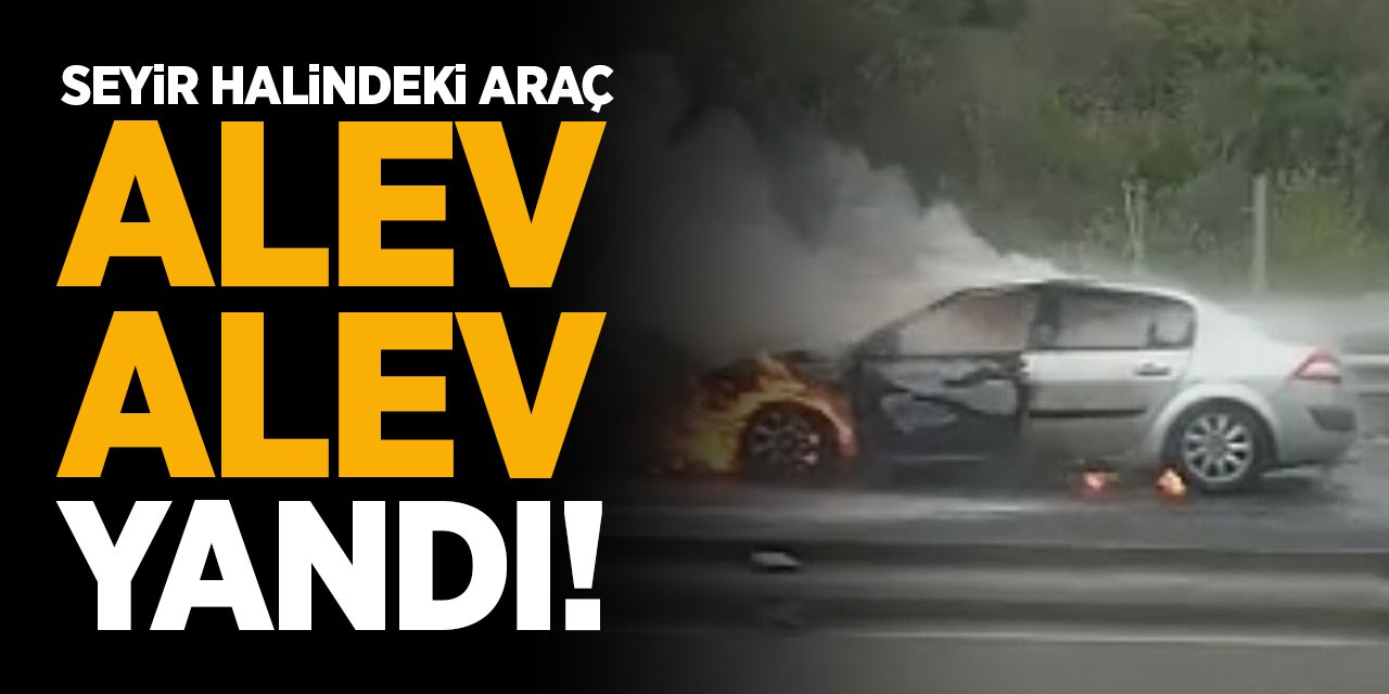 Seyir halindeki araç alev alev yandı!