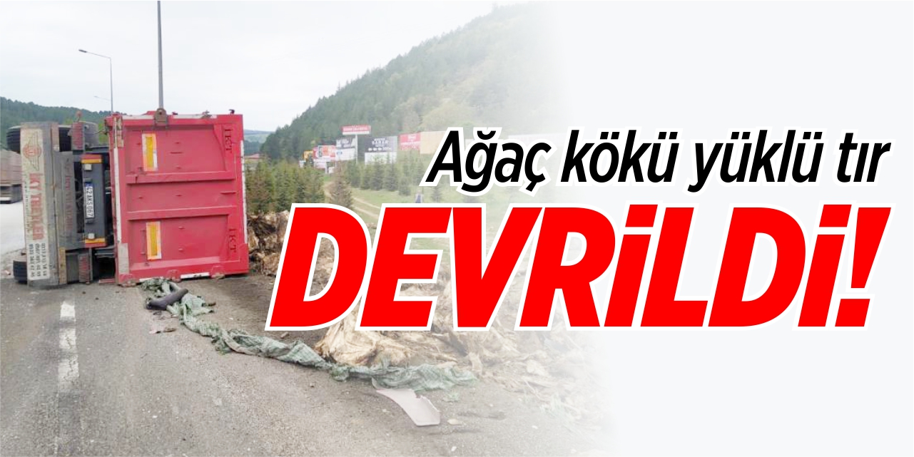 Ağaç kökü yüklü tır devrildi