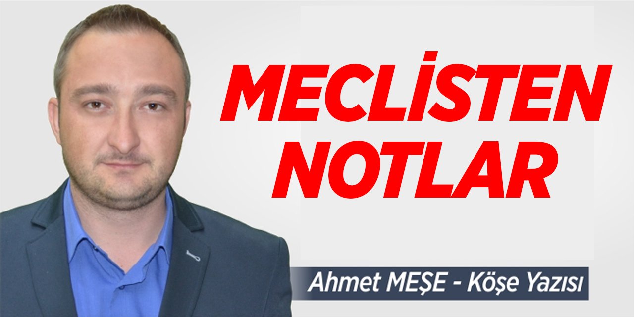 Meclisten Notlar - Ahmet Meşe Köşe Yazısı