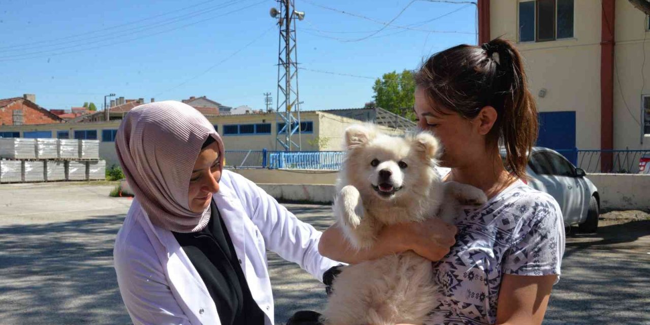 Bozüyük’te ücretsiz kuduz aşısı kampanyası