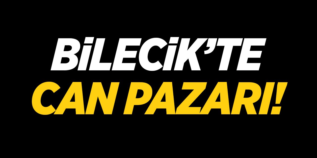 Bilecik'te can pazarı!