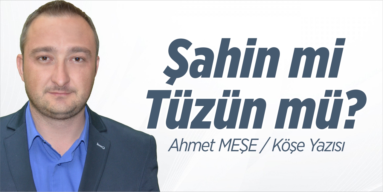 Şahin mi Tüzün mü?