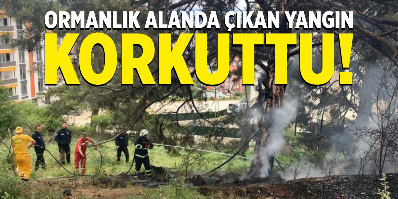 Ormanlık alanda çıkan yangın korkuttu