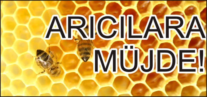 ARICILARA GÜZEL HABER