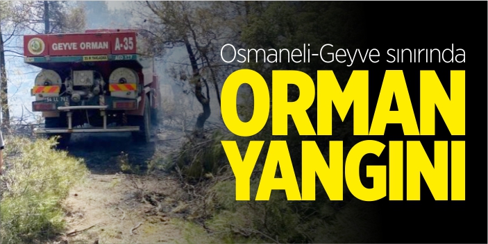 Osmaneli-Geyve sınırında orman yangını