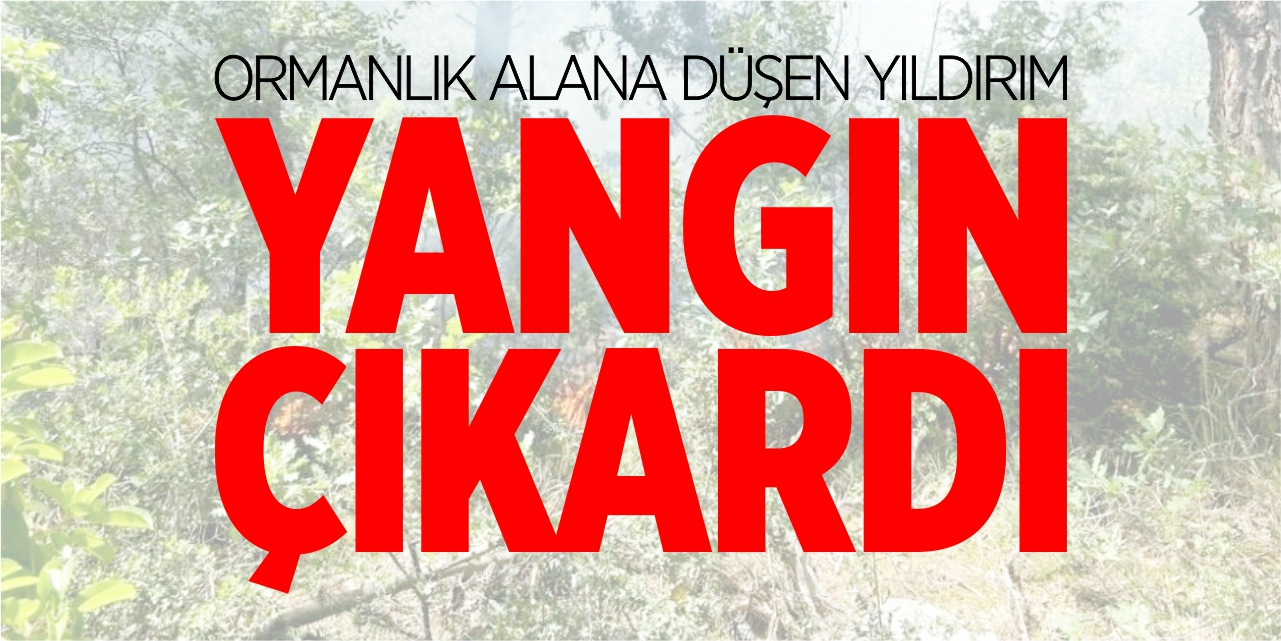 Ormanlık alana düşen yıldırım yangın çıkardı