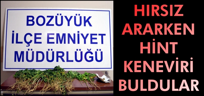 HIRSIZ ARARKEN HİNT KENEVİRİ BULDULAR