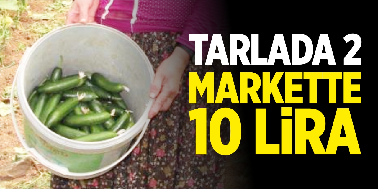 Tarlada 2, markette 10 lira