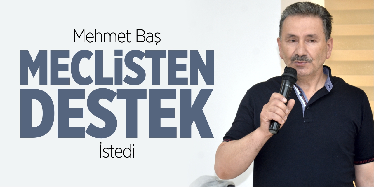 Mehmet Baş, meclisten destek istedi